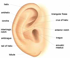 Operacija ušiju